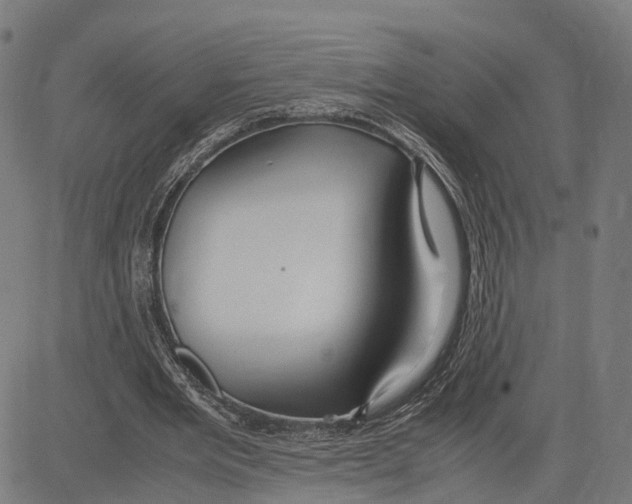 X0000083620485200703121632