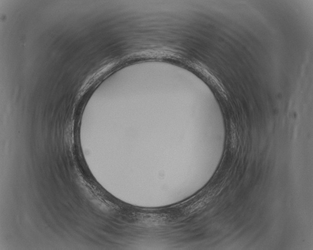 X0000083620486200703121632