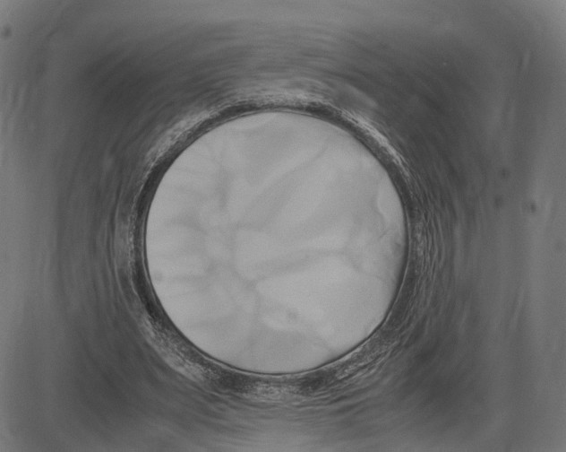 X0000083620487200703121632