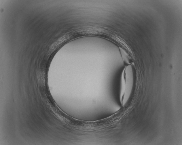 X0000083620489200703121632