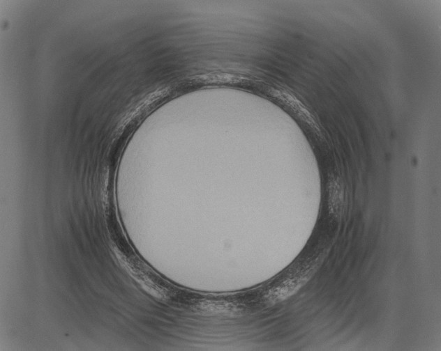 X0000083620490200703121632