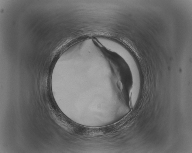 X0000083620491200703121632