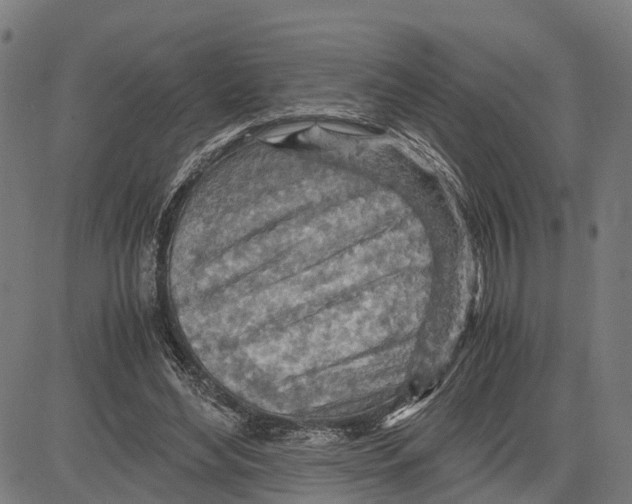 X0000083620492200703121632