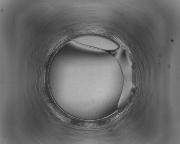 X0000083620493200703121632