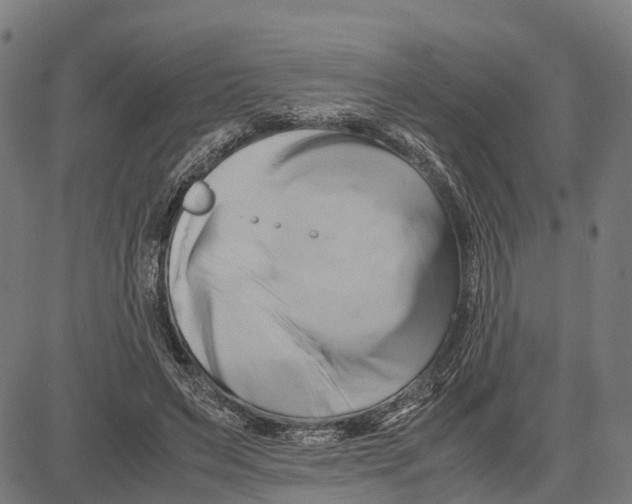 X0000083620495200703121632