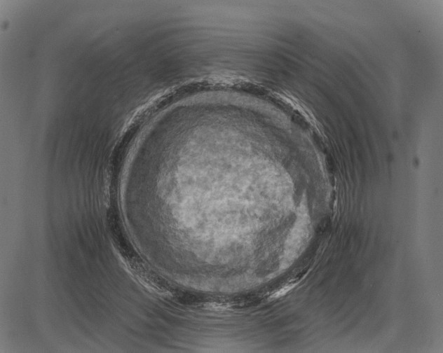 X0000083620496200703121632