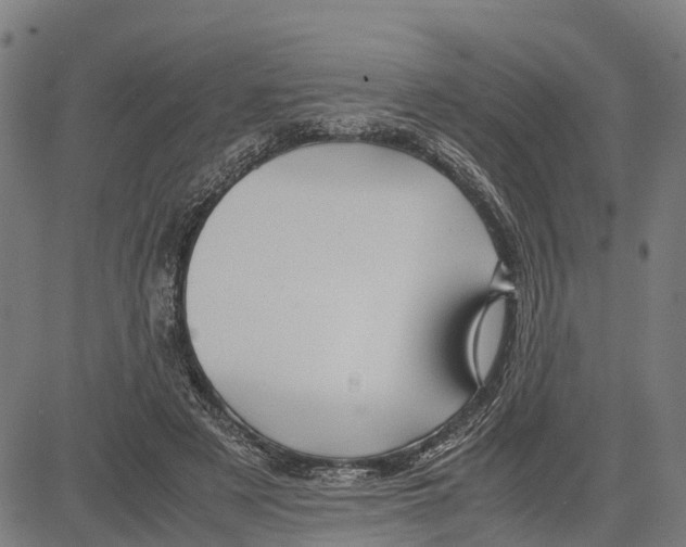 X0000083620497200703121632