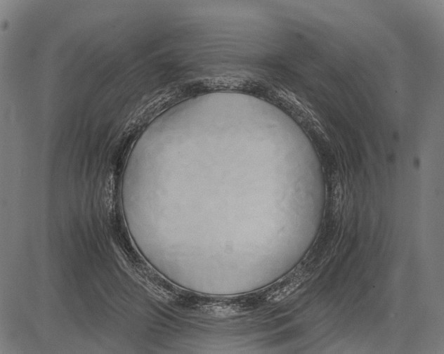 X0000083620498200703121632