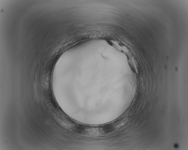 X0000083620499200703121632