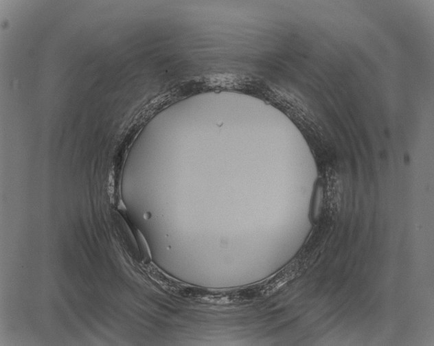 X0000083620502200703121632