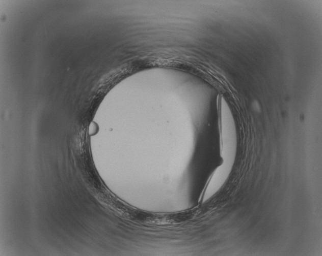 X0000083620503200703121632