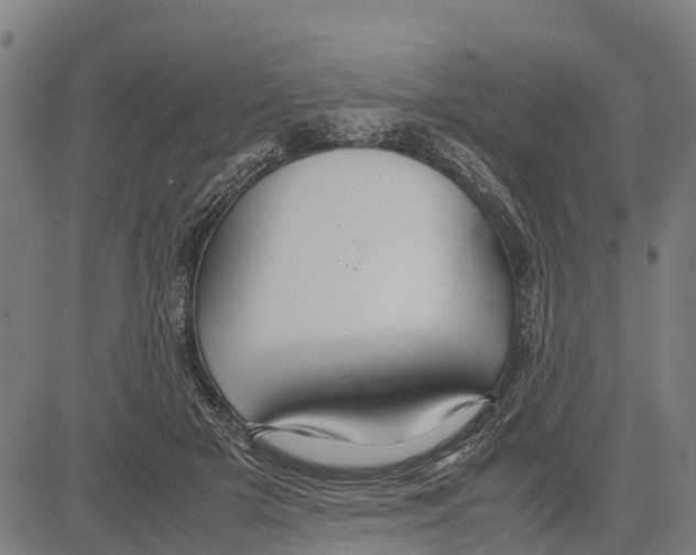 X0000083620505200703121632