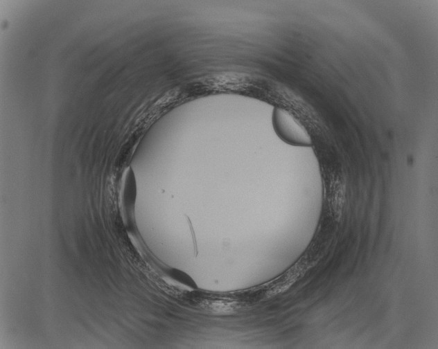 X0000083620506200703121632