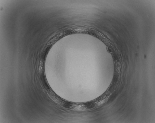 X0000083620507200703121632