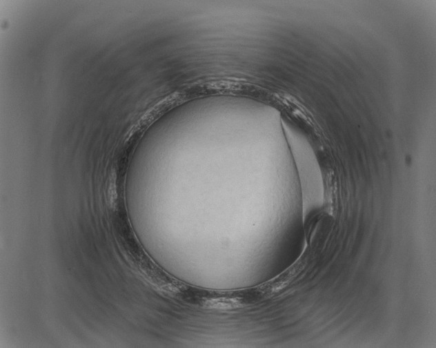 X0000083620508200703121632