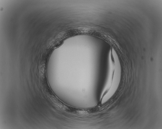 X0000083620509200703121632