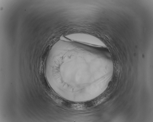 X0000083620511200703121632