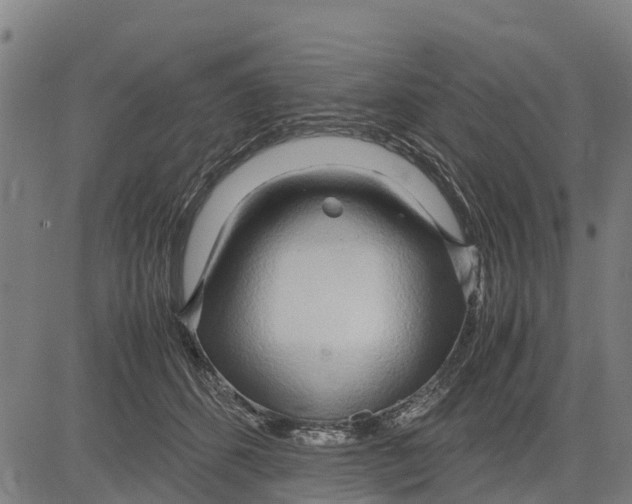 X0000083620512200703121632