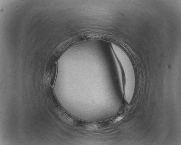 X0000083620513200703121632