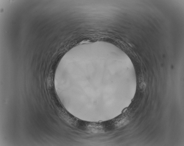 X0000083620515200703121632