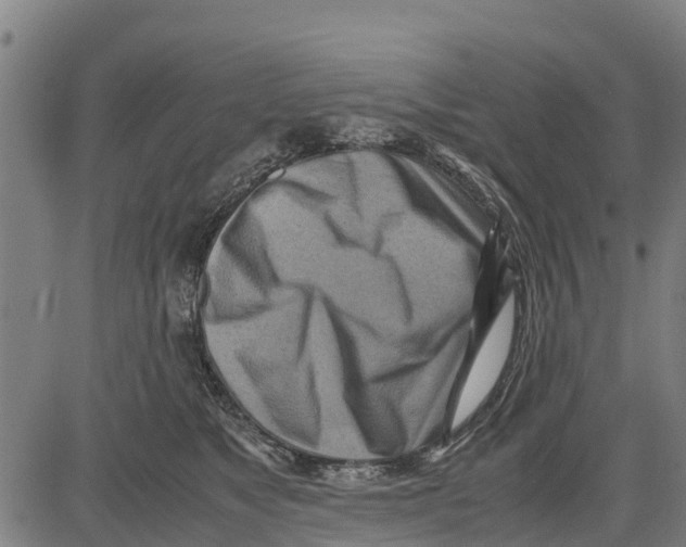 X0000083620517200703121632