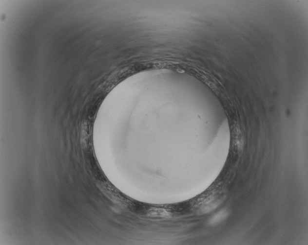 X0000083620519200703121632