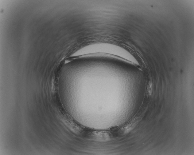 X0000083620520200703121631