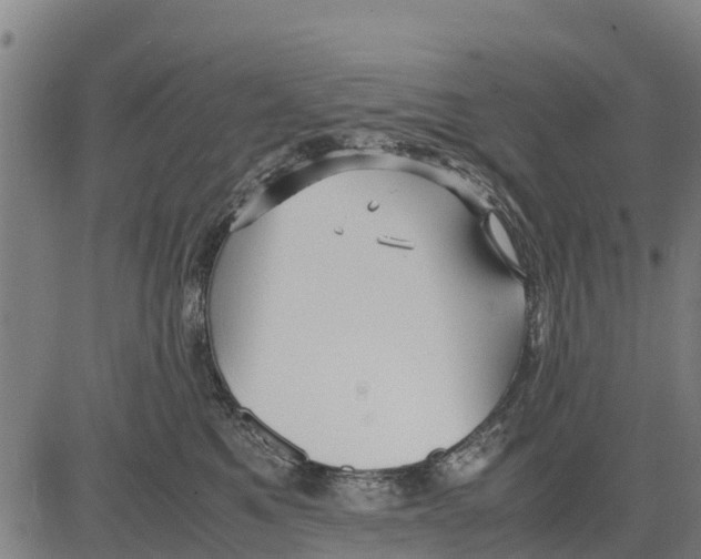 X0000083620521200703121631