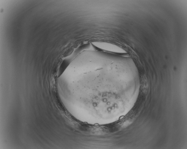 X0000083620523200703121631