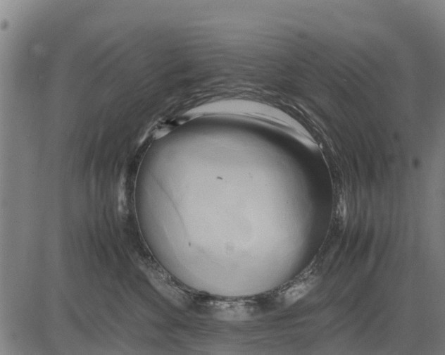 X0000083620524200703121631