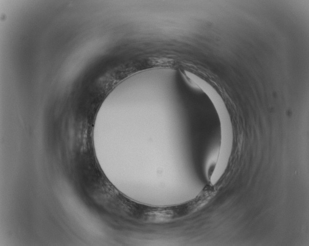 X0000083620525200703121631