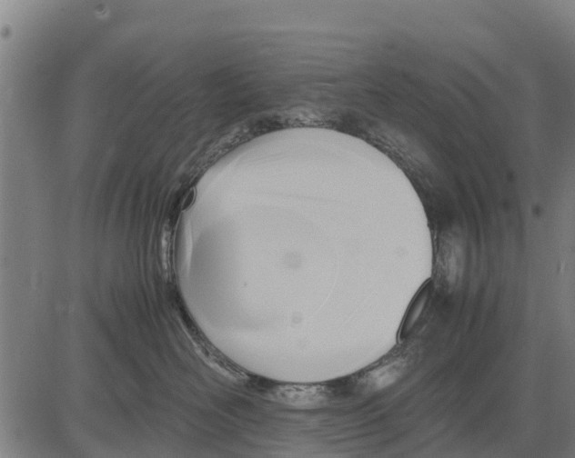 X0000083620526200703121631