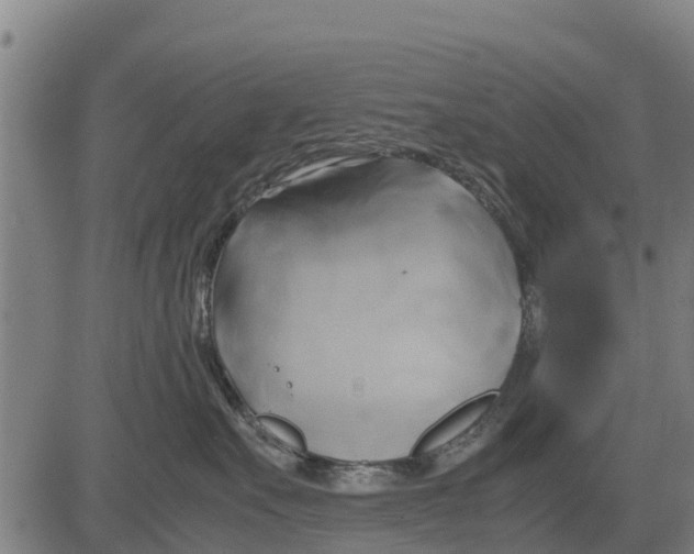 X0000083620527200703121631