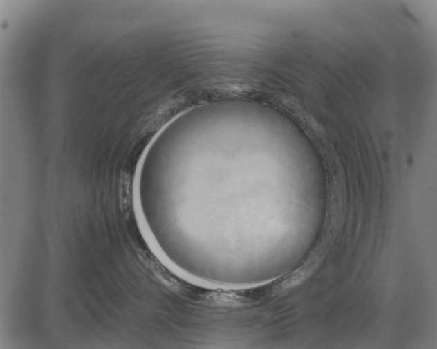 X0000083620528200703121631