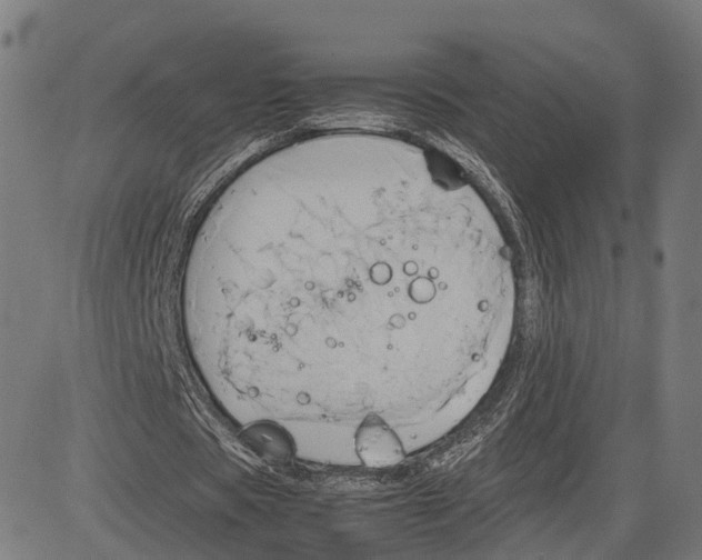 X0000083620529200703121631