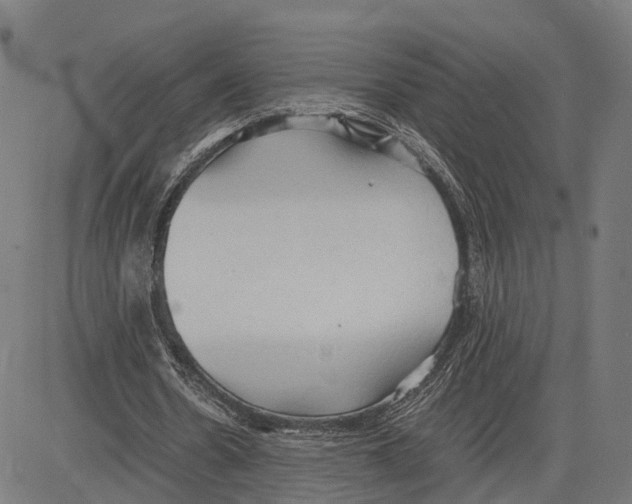 X0000083620530200703121631