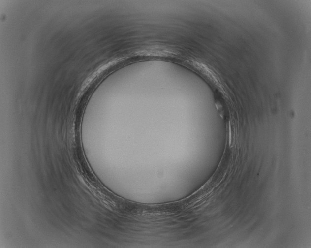 X0000083620531200703121631