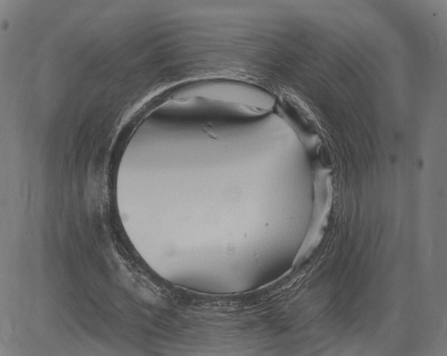 X0000083620532200703121631