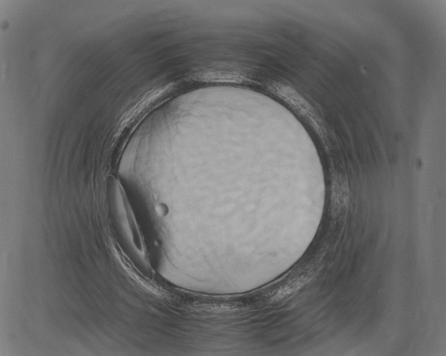 X0000083620533200703121631