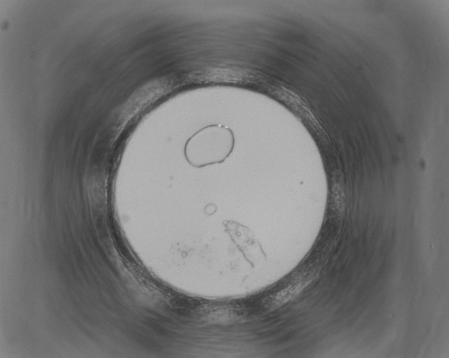 X0000083620534200703121631