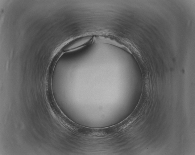 X0000083620536200703121631