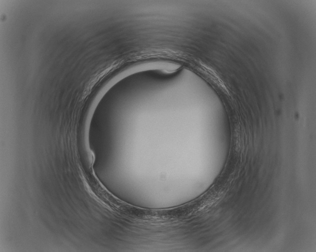 X0000083620538200703121631