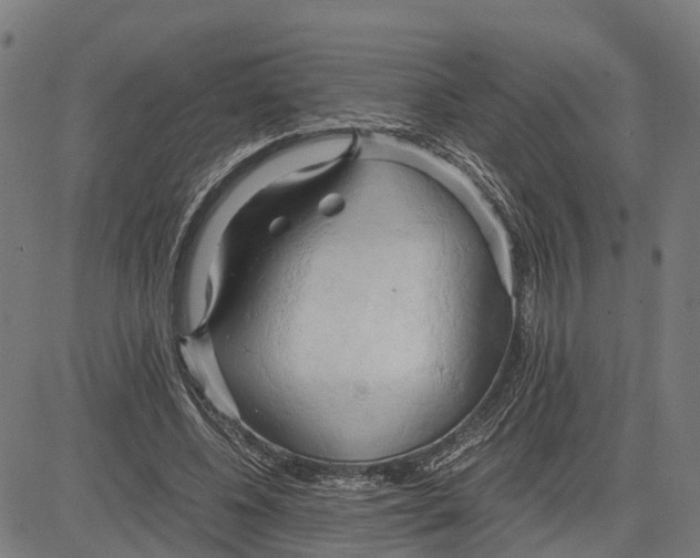 X0000083620540200703121631