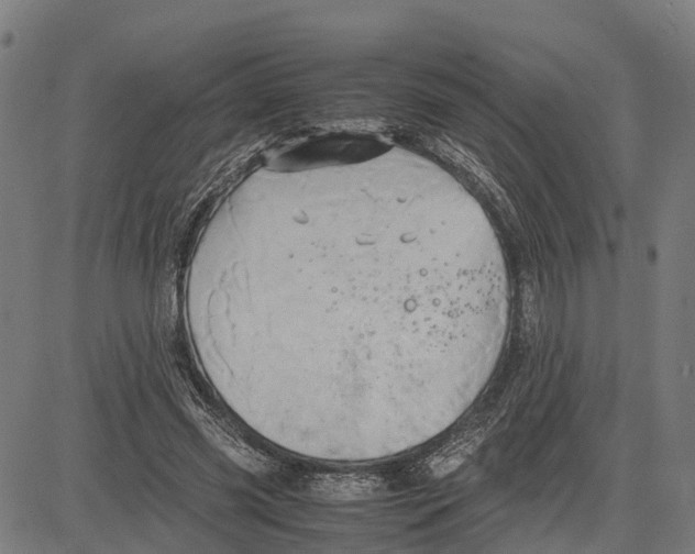 X0000083620541200703121631