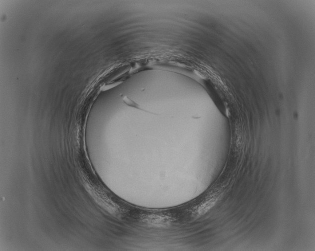 X0000083620542200703121631