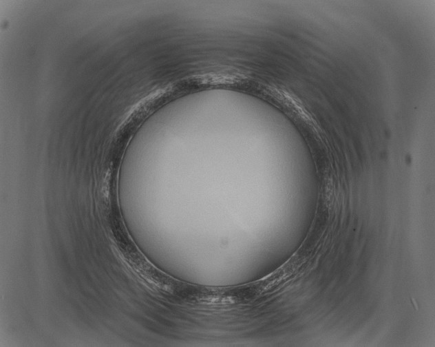 X0000083620543200703121631