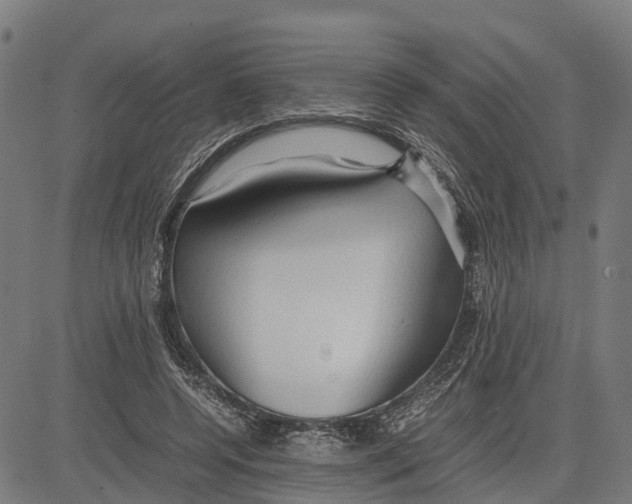 X0000083620544200703121631