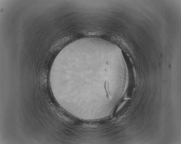 X0000083620545200703121631