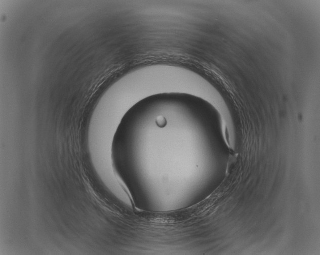 X0000083620546200703121631