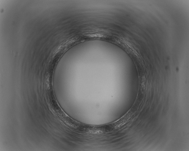 X0000083620547200703121631